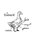 Gras de canard