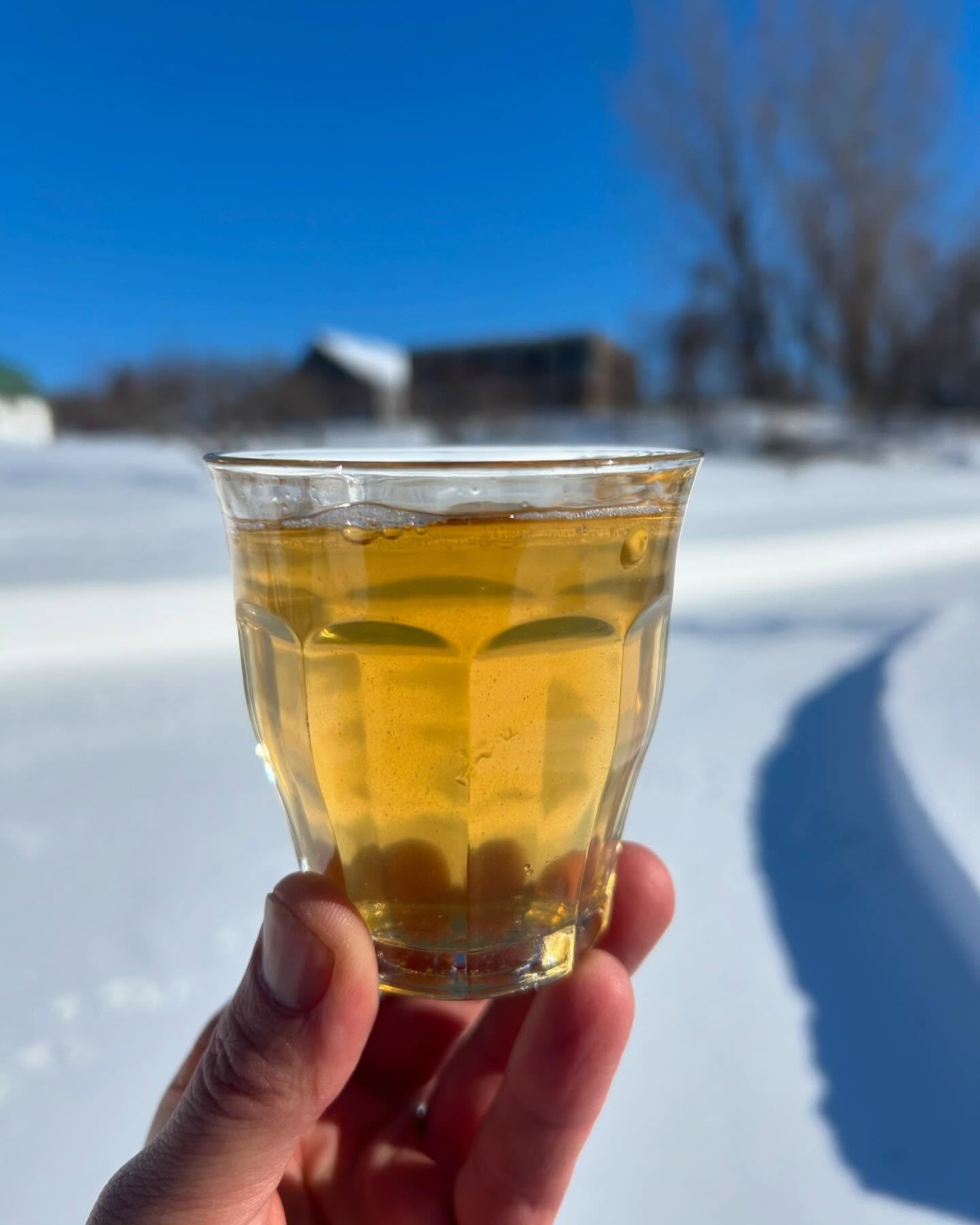 Super Pomme 2024 | Cidrerie Chemin des Sept – Les Minettes