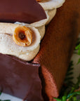 Bûche chocolat Alunga 41% + noisettes + citron