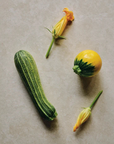 Photo de différentes courgettes.