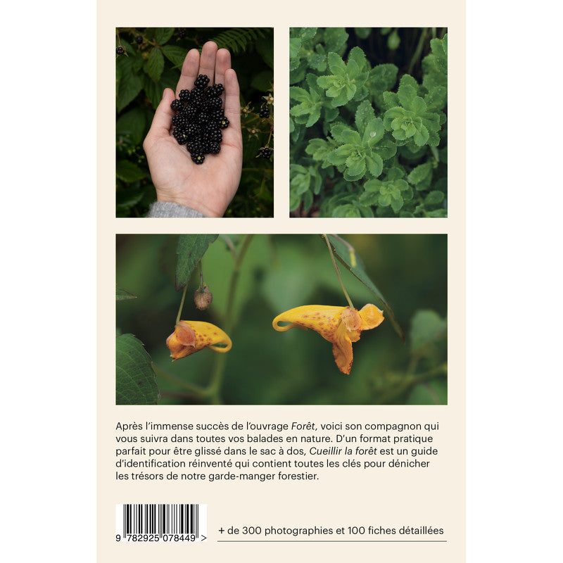 Cueillir la Forêt | Guide d'identification des plantes sauvages