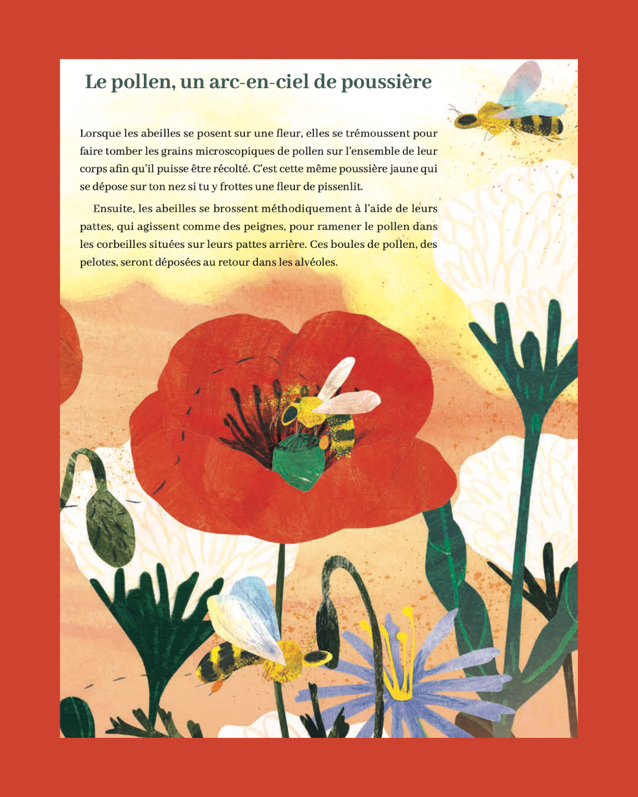 Reine Melliféra et la vie des abeilles