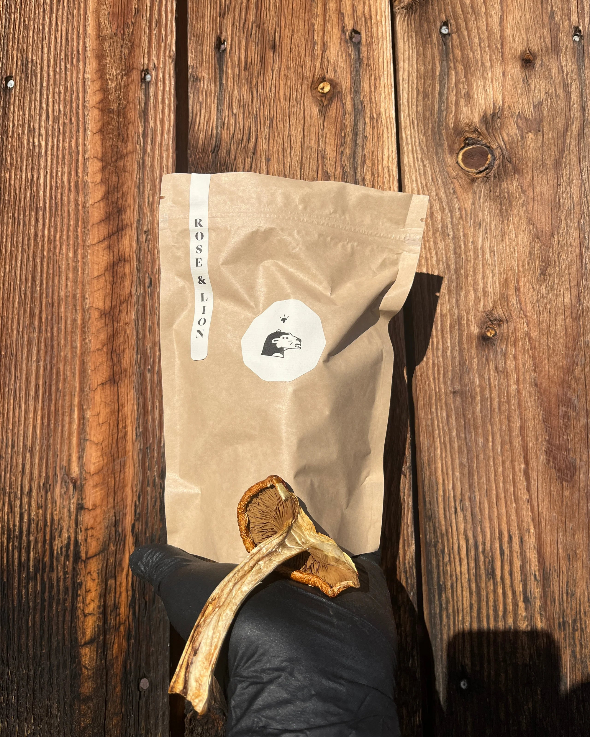 Maïtake déshydratés par Rose et Lion_Microferme de champignons