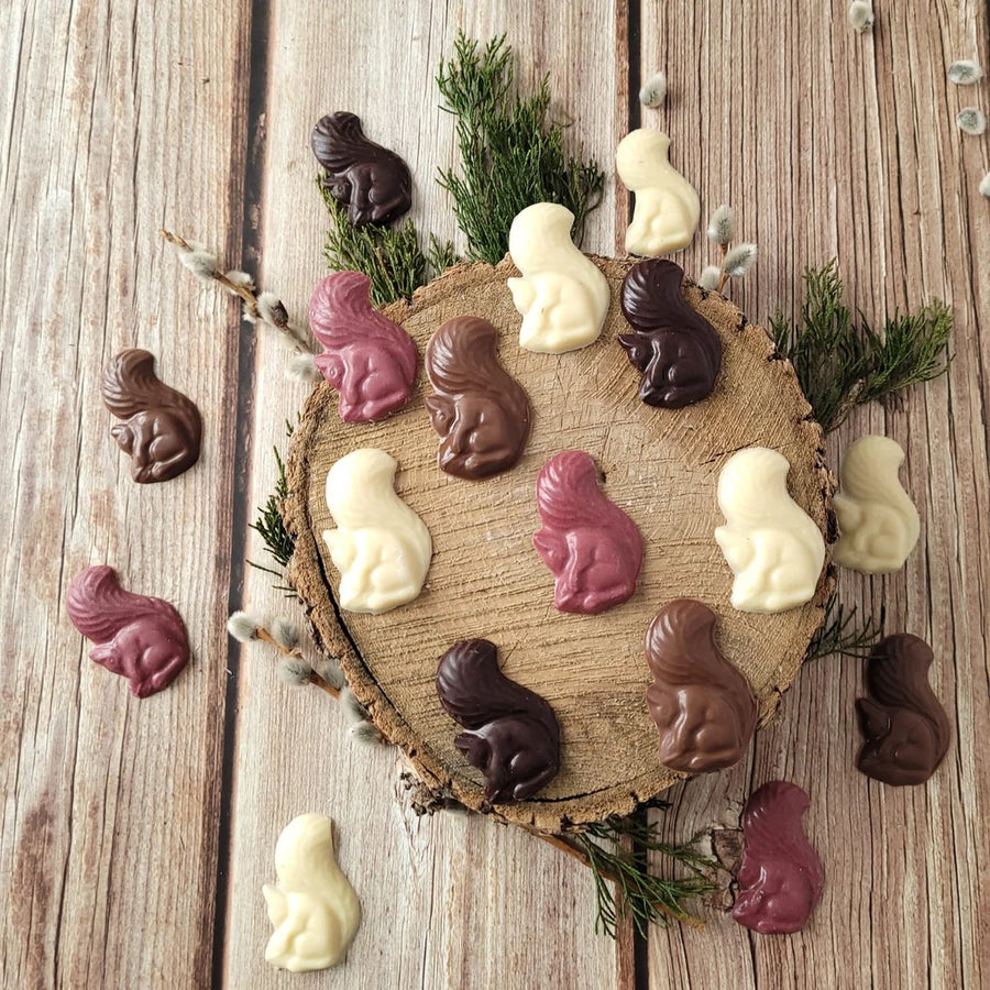 Écureuils en chocolat | 4 variétés par sac