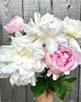 Bouquet de Pivoines locales
