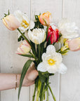 Bouquet de tulipes | Fête des mamans