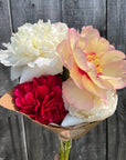 Pivoines_Jun Ferme Florale 1