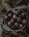 Pousses de sapin en poudre de Gourmet Sauvage