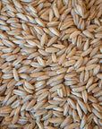 Riz d'avoine biologique