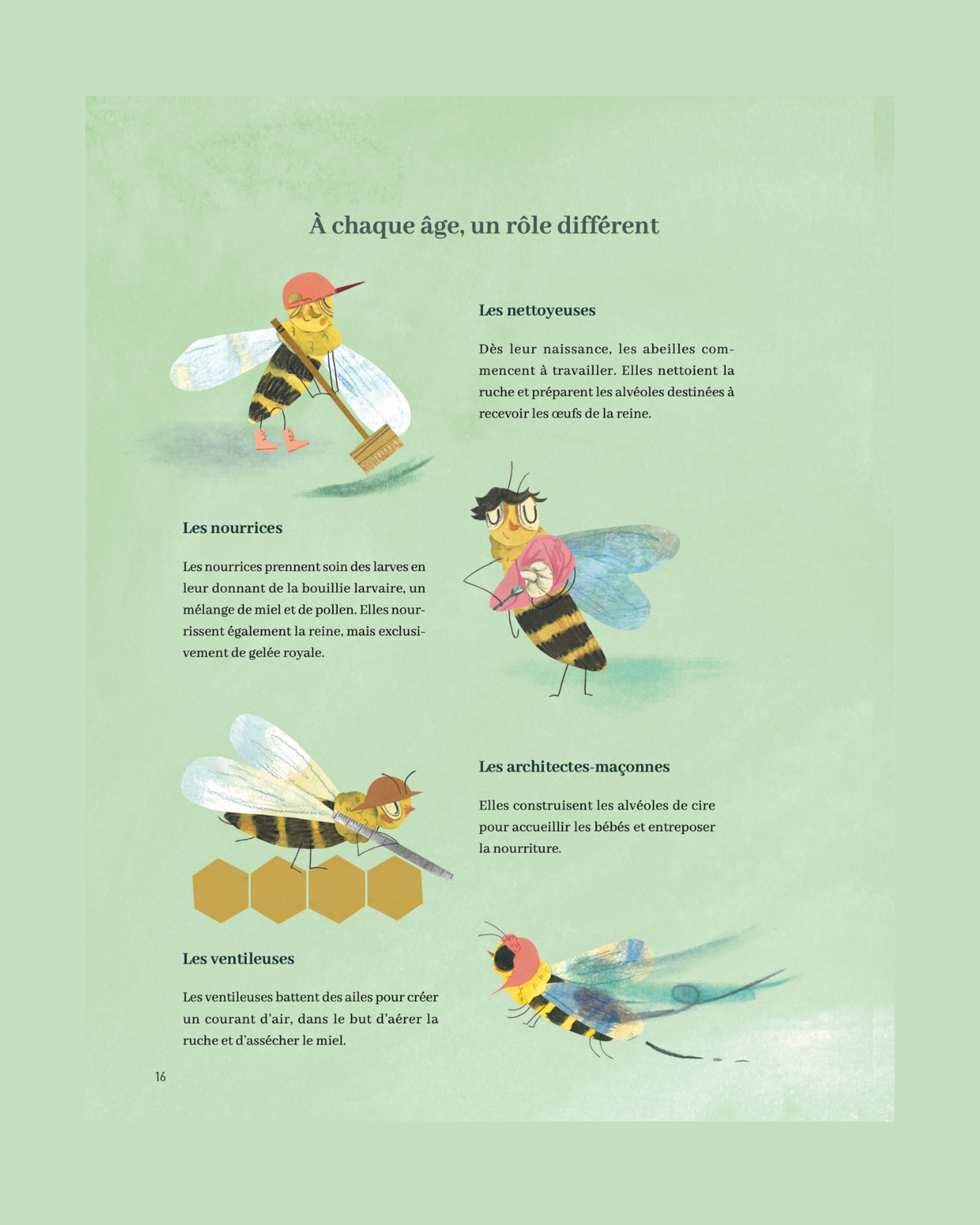 Reine Melliféra et la vie des abeilles