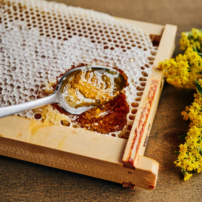 Rayon de miel | Frais • Florale