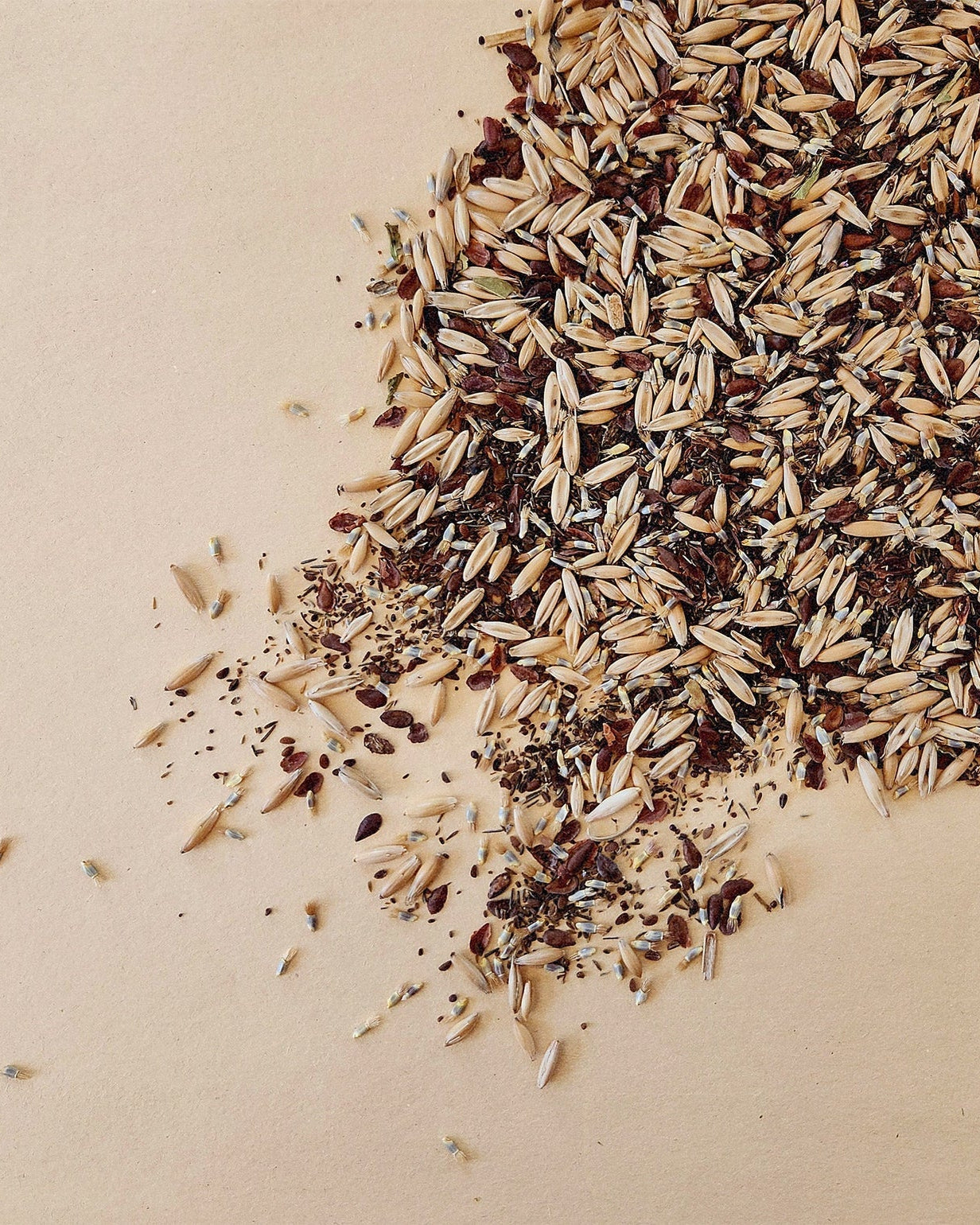 Coffret de Semences : Fleurs pour abeilles et pollinisateurs, par le nutritionniste urbain