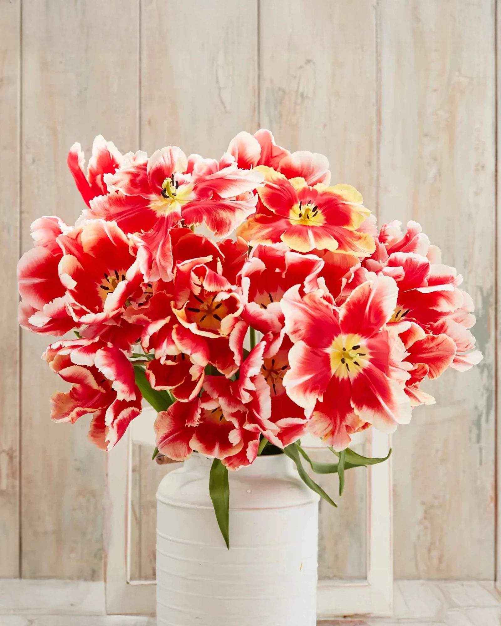 Bouquet de tulipes