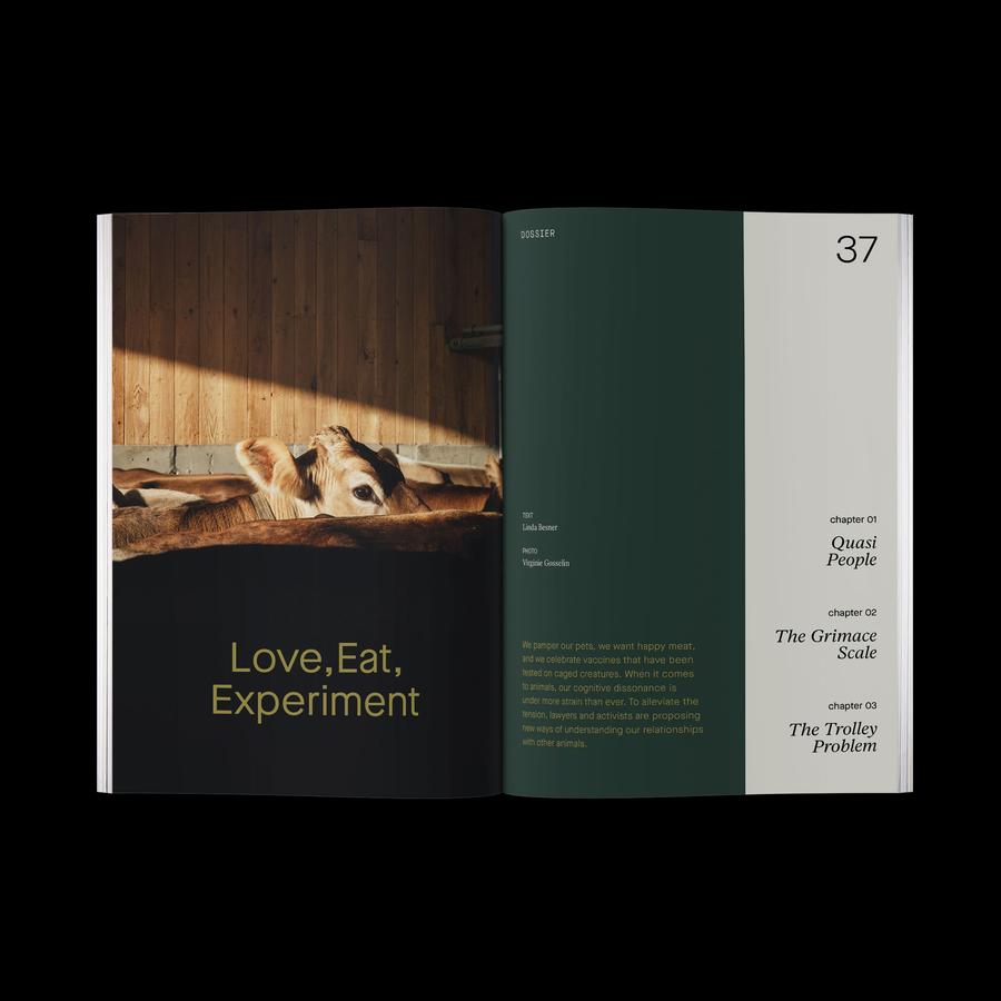 Nos transformations | n.10