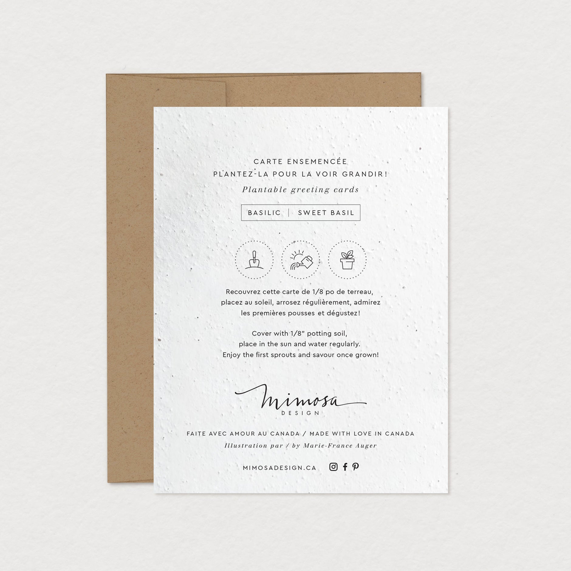 Instruction carte ensemencée