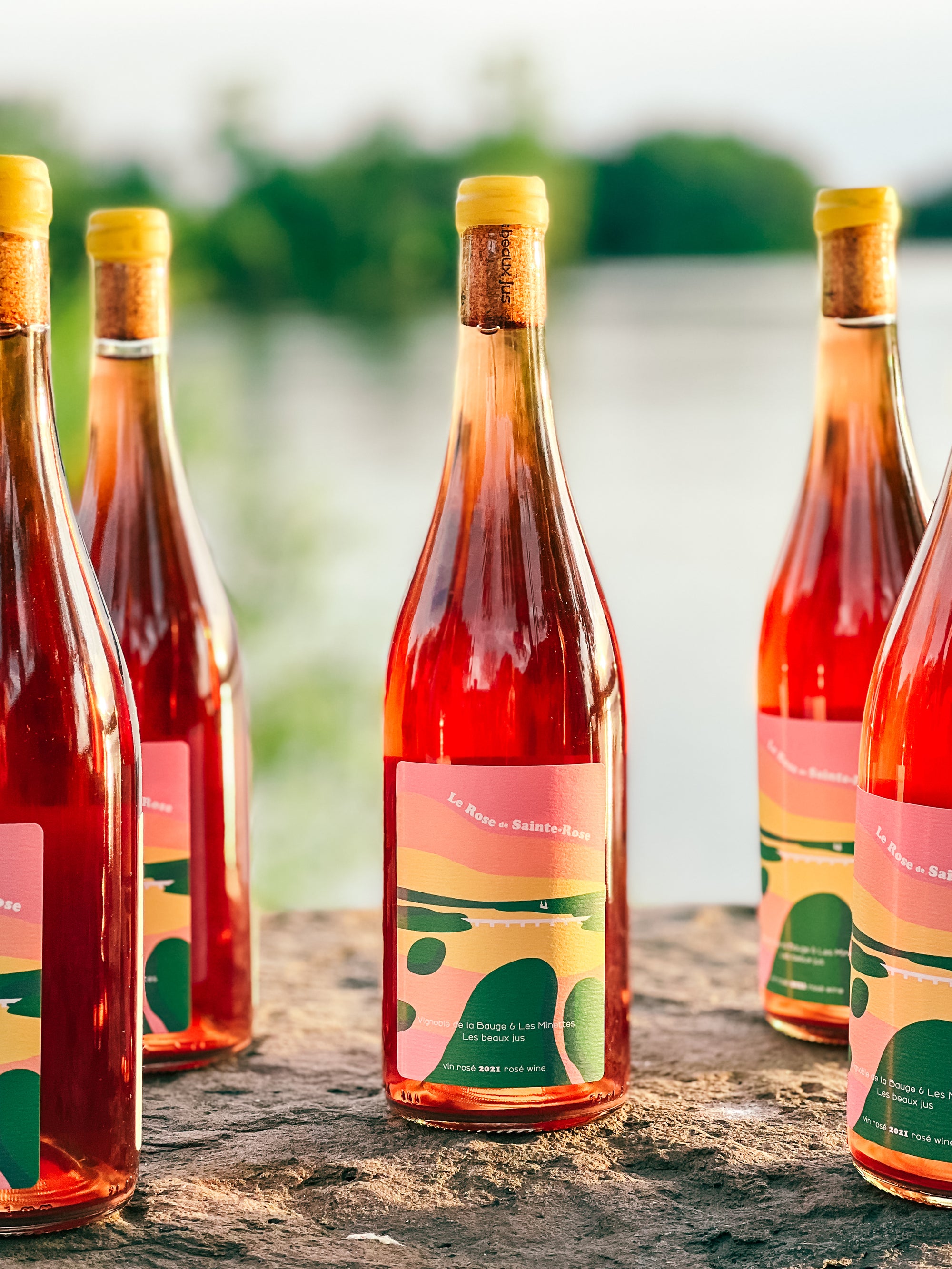 Le Rose de Sainte-Rose | Les Minettes x La Bauge