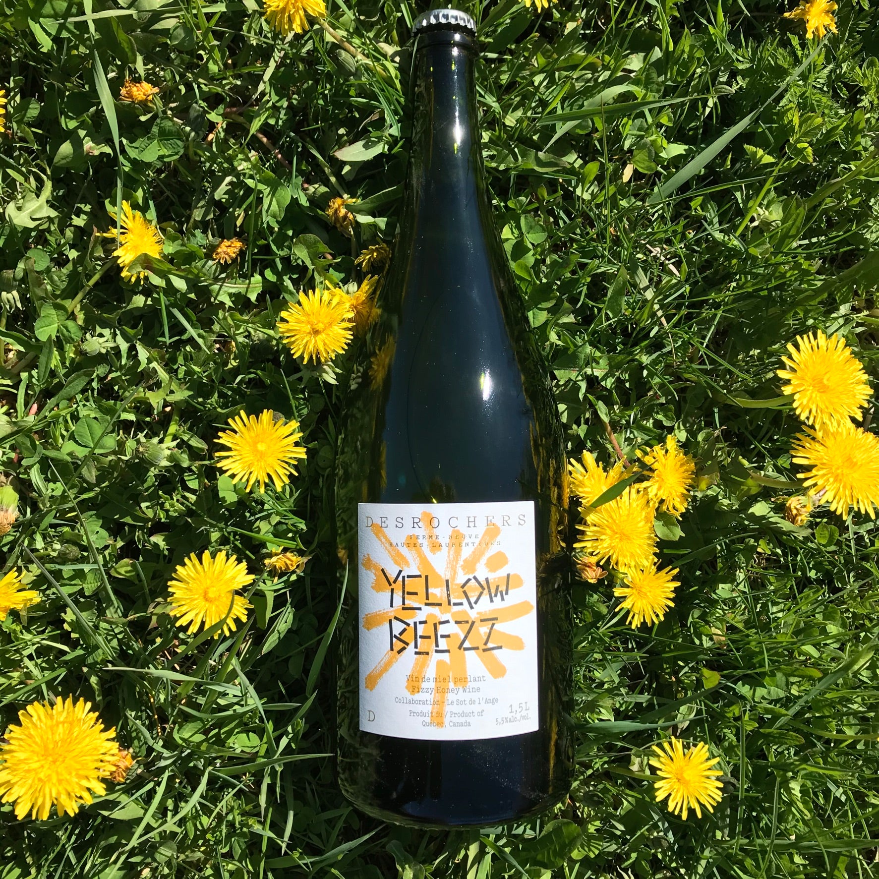 YELLOW Beez 2019 - Magnum