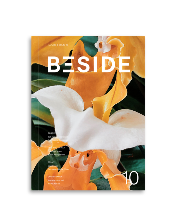 couverture-beside