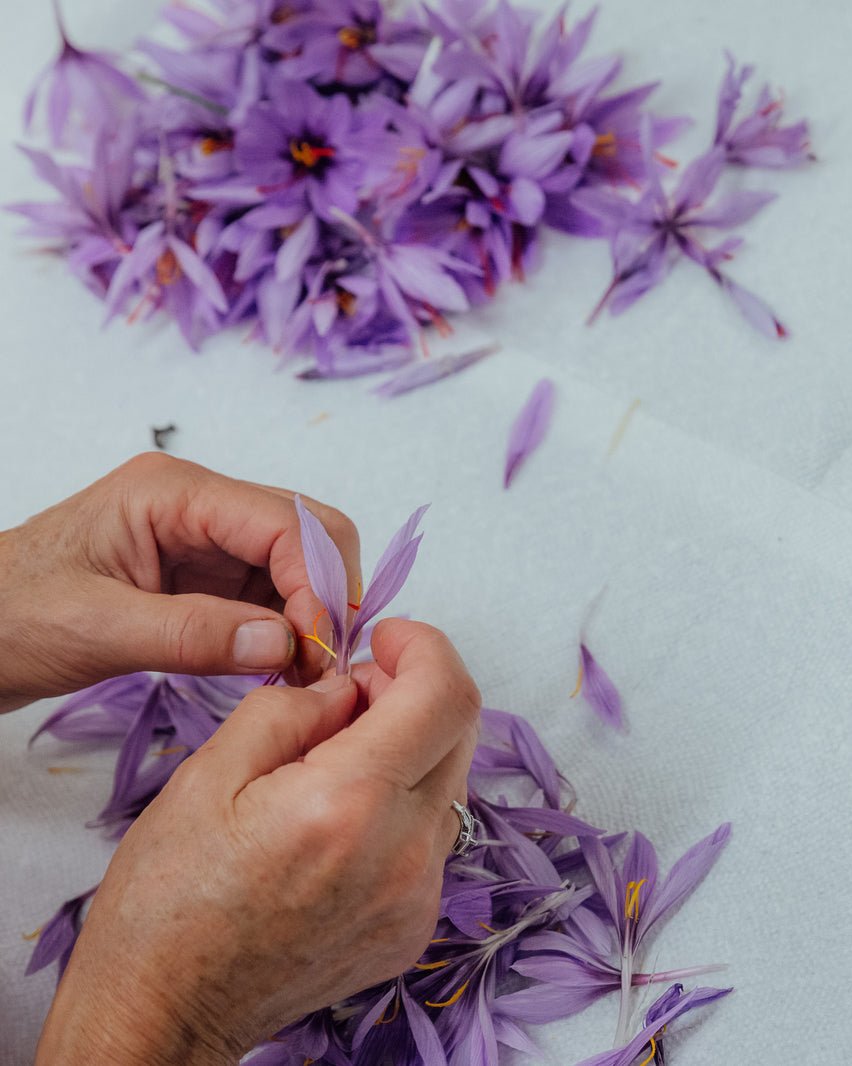 fleurs-safran-pur-quebecois-emporium