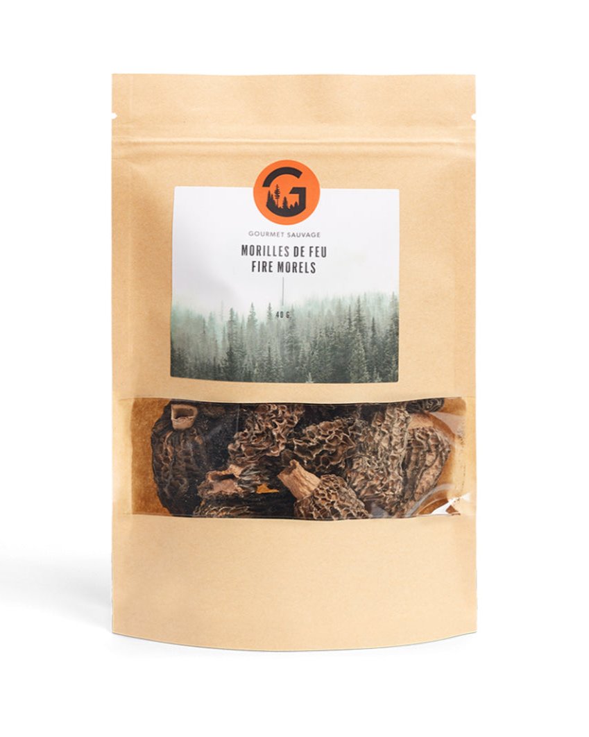 Morilles de feu par Gourmet Sauvage